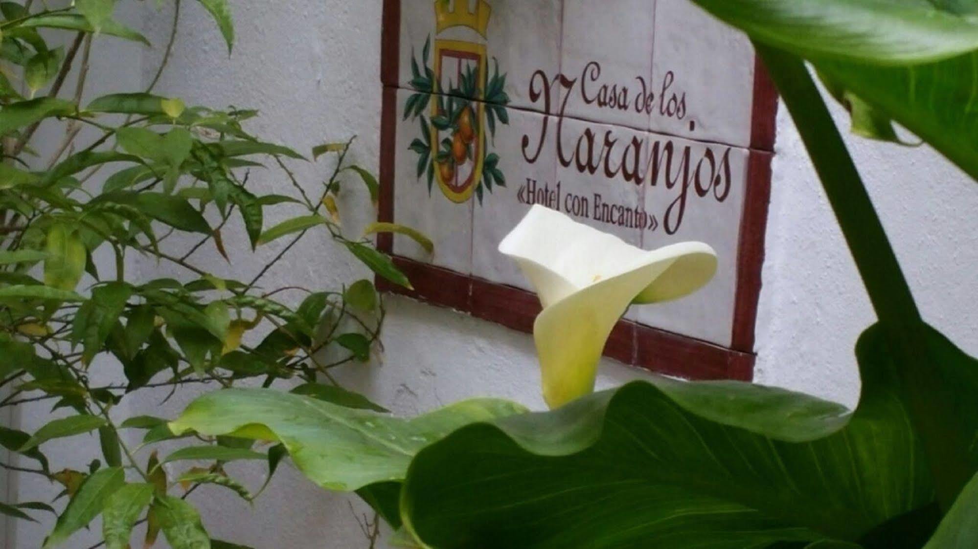 Hotel Boutique Puerta Del Rincon Cordoba Ngoại thất bức ảnh